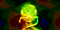 Implementing and Debugging the Perlin Noise Algorithm